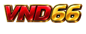 VND66